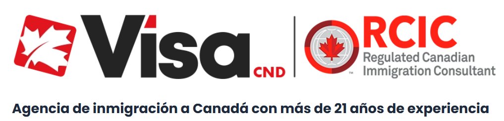 Visa VNC logo
